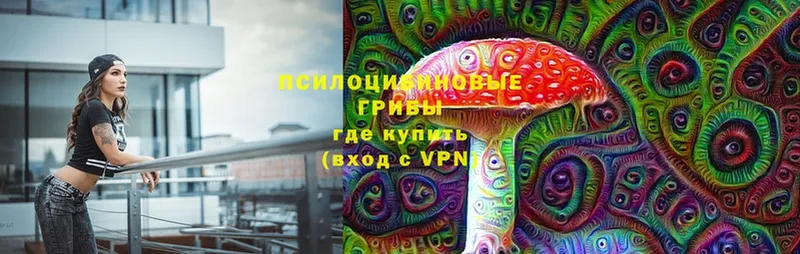 Галлюциногенные грибы Psilocybine cubensis  Цоци-Юрт 